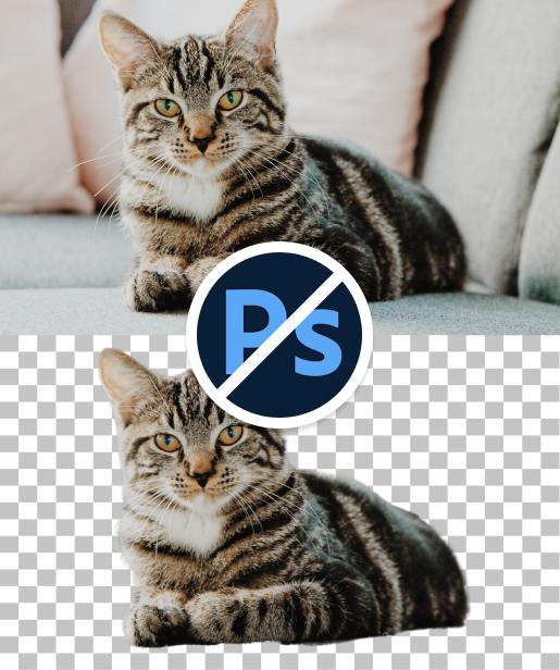 Make a PNG Transparent – Online PNG Maker